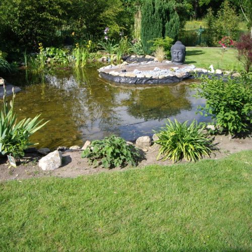 Bassin-jardin.-LA-CHAPELLE-DES-MARAIS-1024x768-1.jpg